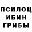 Псилоцибиновые грибы GOLDEN TEACHER Haydee Berlanga