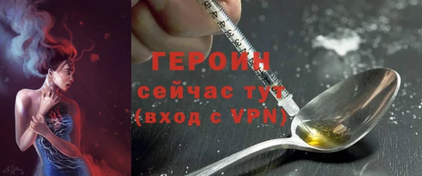 гидра Ессентукская