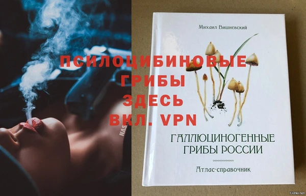 не бодяженный Каменск-Шахтинский